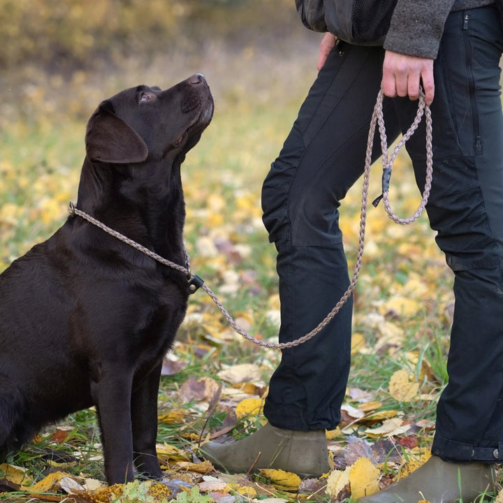 #color_brown-patterned