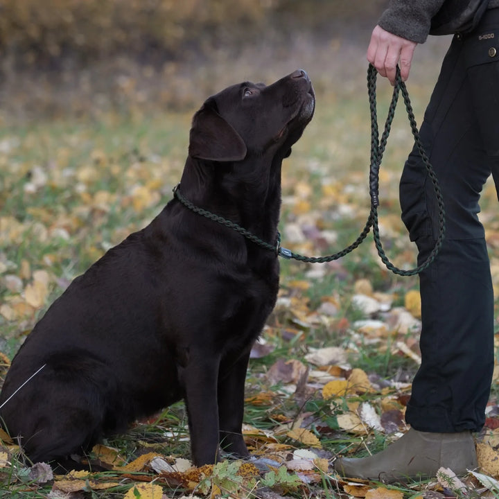#color_brown-dark-green