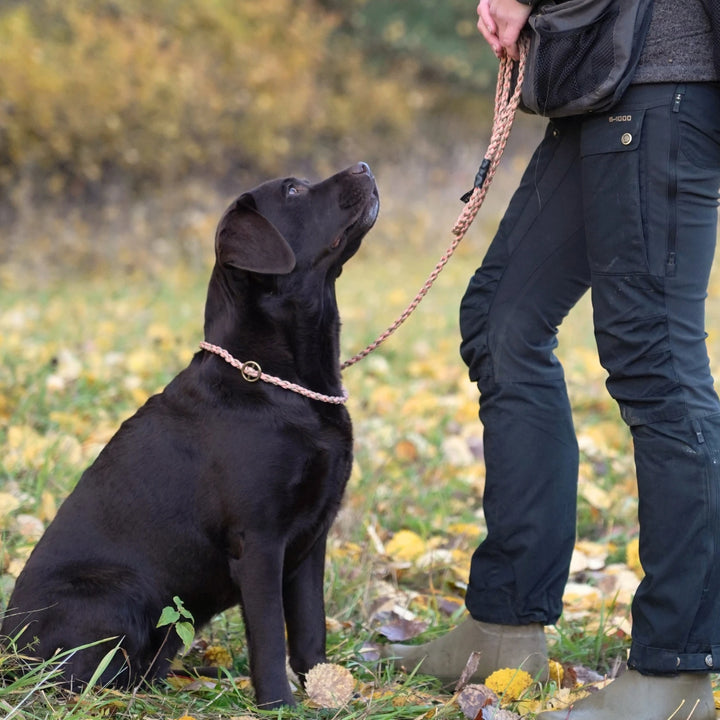 #color_orange-green-patterned