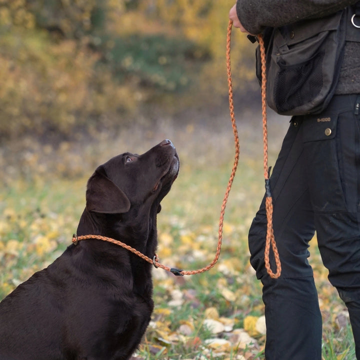 #color_orange-patterned