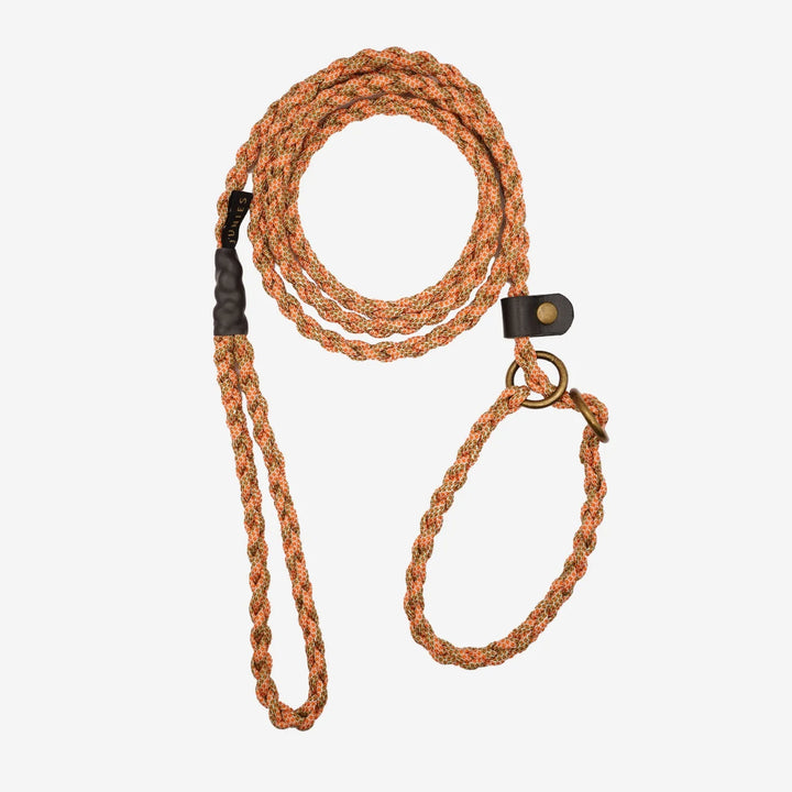 #color_orange-green-patterned