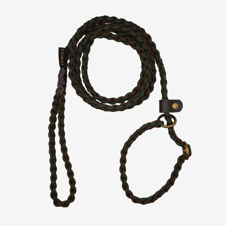 #color_brown-dark-green