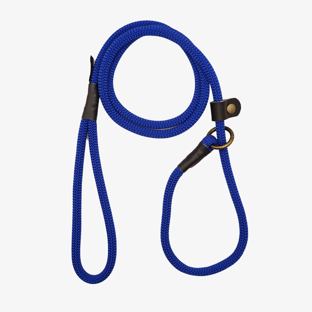 #color_blue