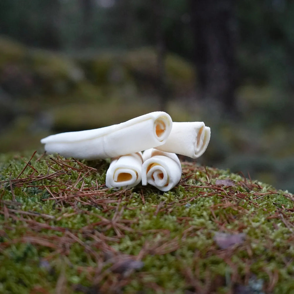 fyra hund ttuggben från rauh! storlek extra small ligger i skogen #storlek_extra-small