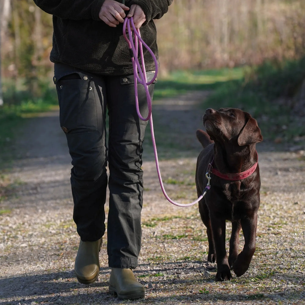 Miljöbild brun labrador med junies repkoppel 250 x 0,8 cm pink #color_pink