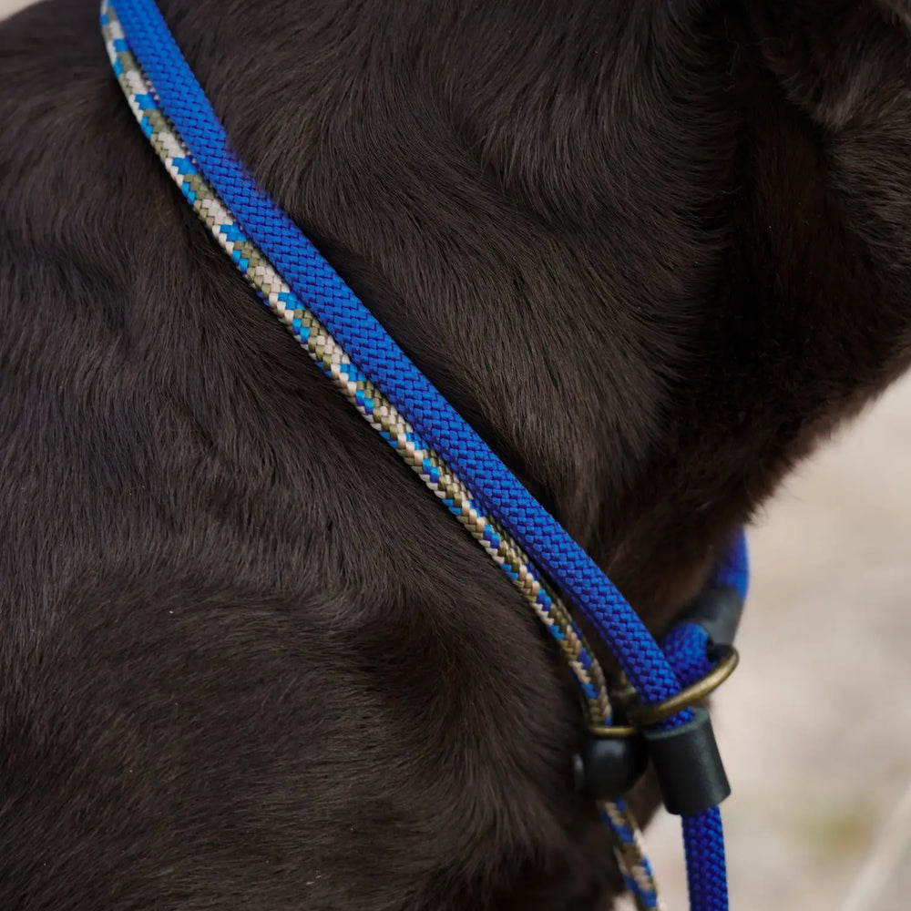 Miljöbild junies luring kort retriverkoppel  #color_khaki-beige-patterned