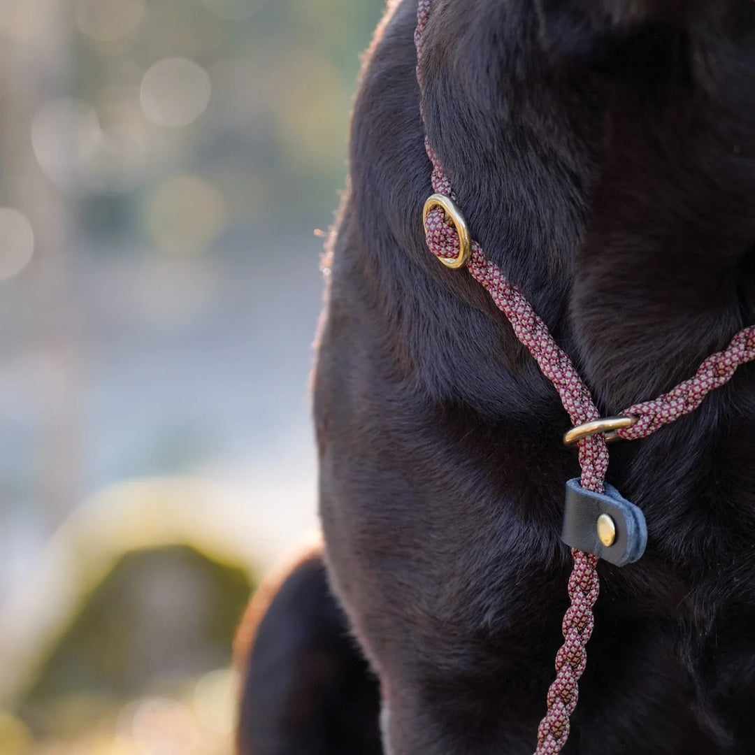 Närbild junies flätade retrieverkoppel 140 cm burgundy/moss-mönstrad #color_burgundy-moss-patterned