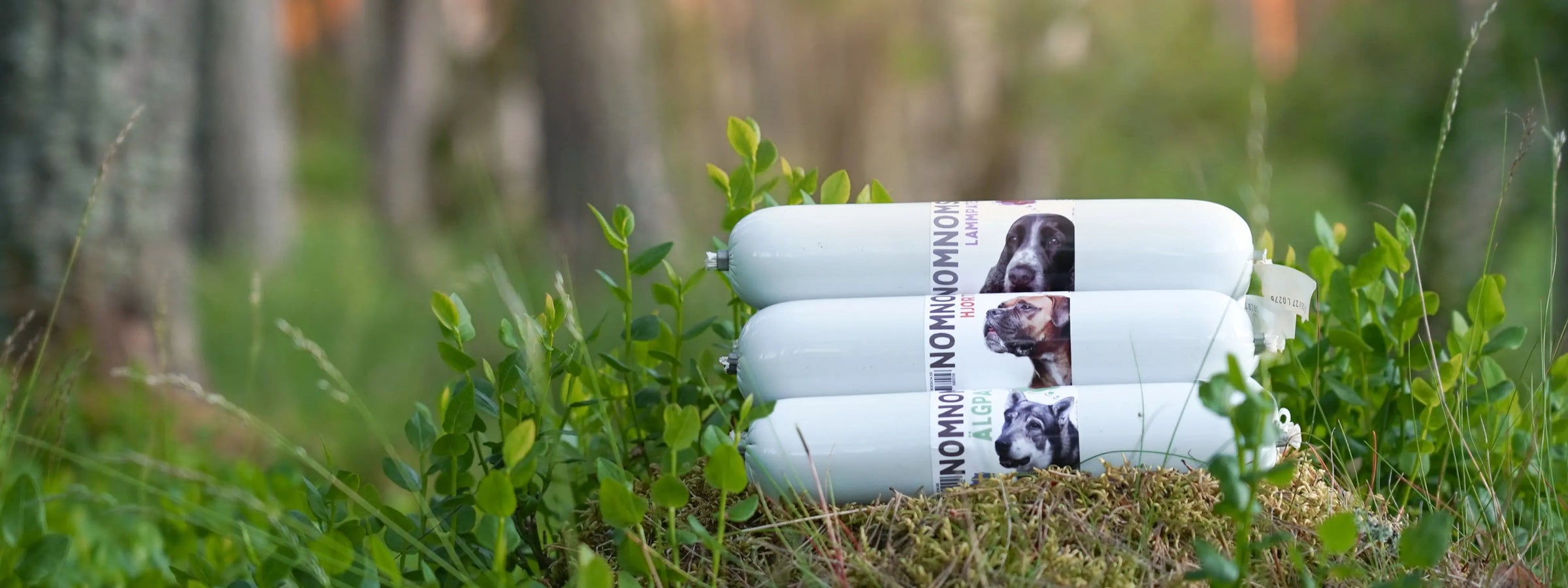 Hundgodis