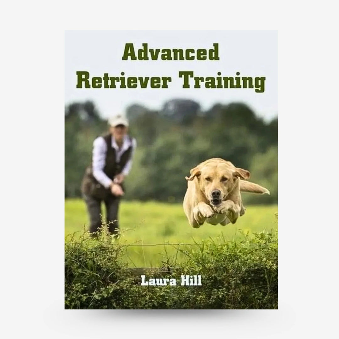 Laura Hill Advanced retriever training