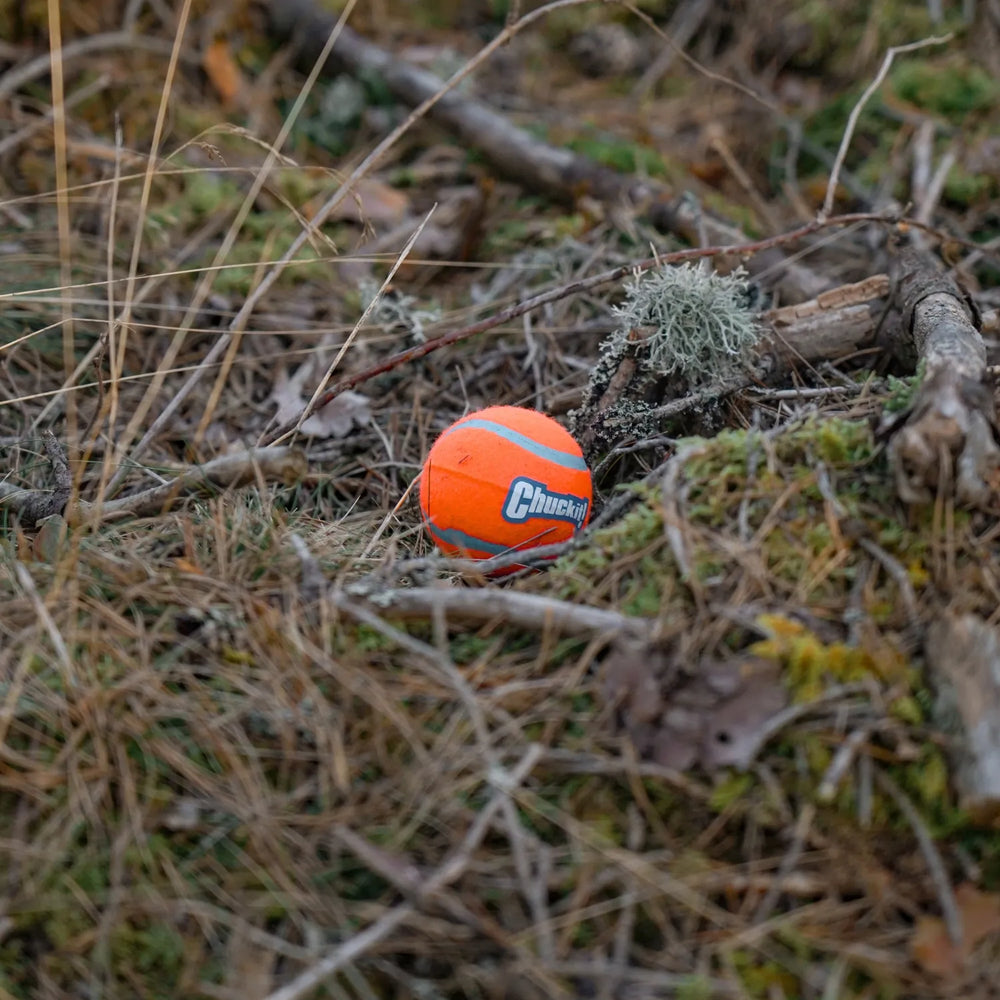 Miljöbild chuckit boll medium
