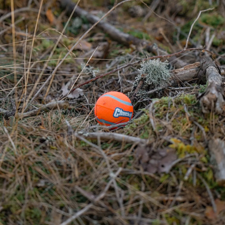Miljöbild chuckit boll medium