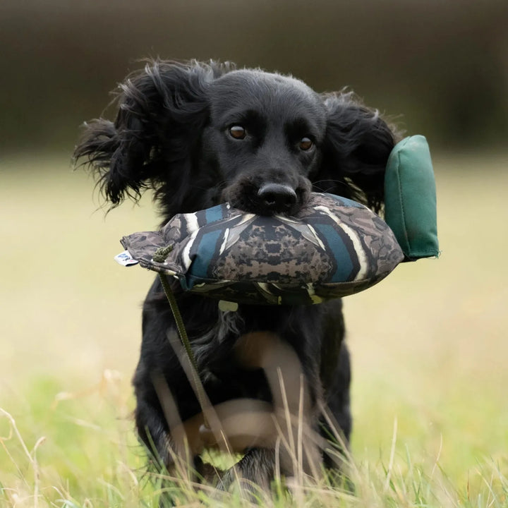 Svart cocker spaniel med sporting saint fågel dummy ca 700 g gräsand #color_grasand