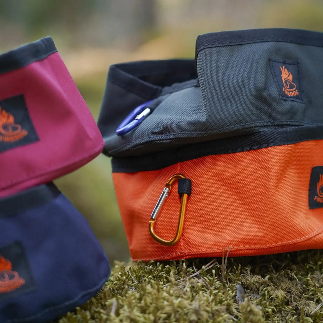 Miljöbild firedog click and go travel bowl närbild karbinhake #color_neon-orange