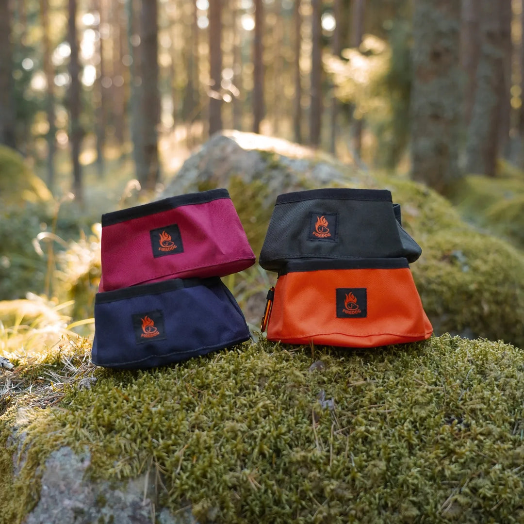 Miljöbild firedog click and go travel bowl vattenskål alla färger #color_neon-orange