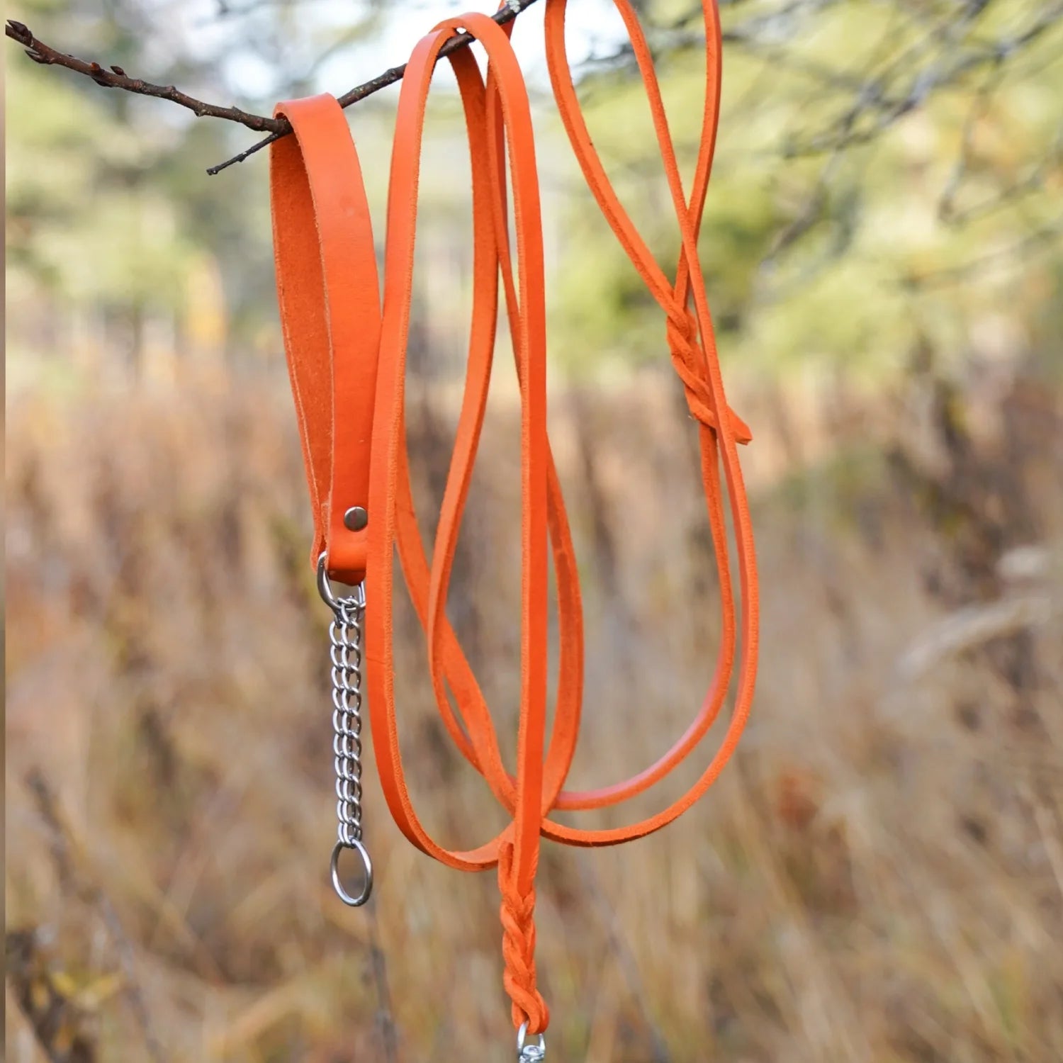 Miljöbild junies läderhalsband halvstryp och junies läderkoppel 3 meter orange #color_orange