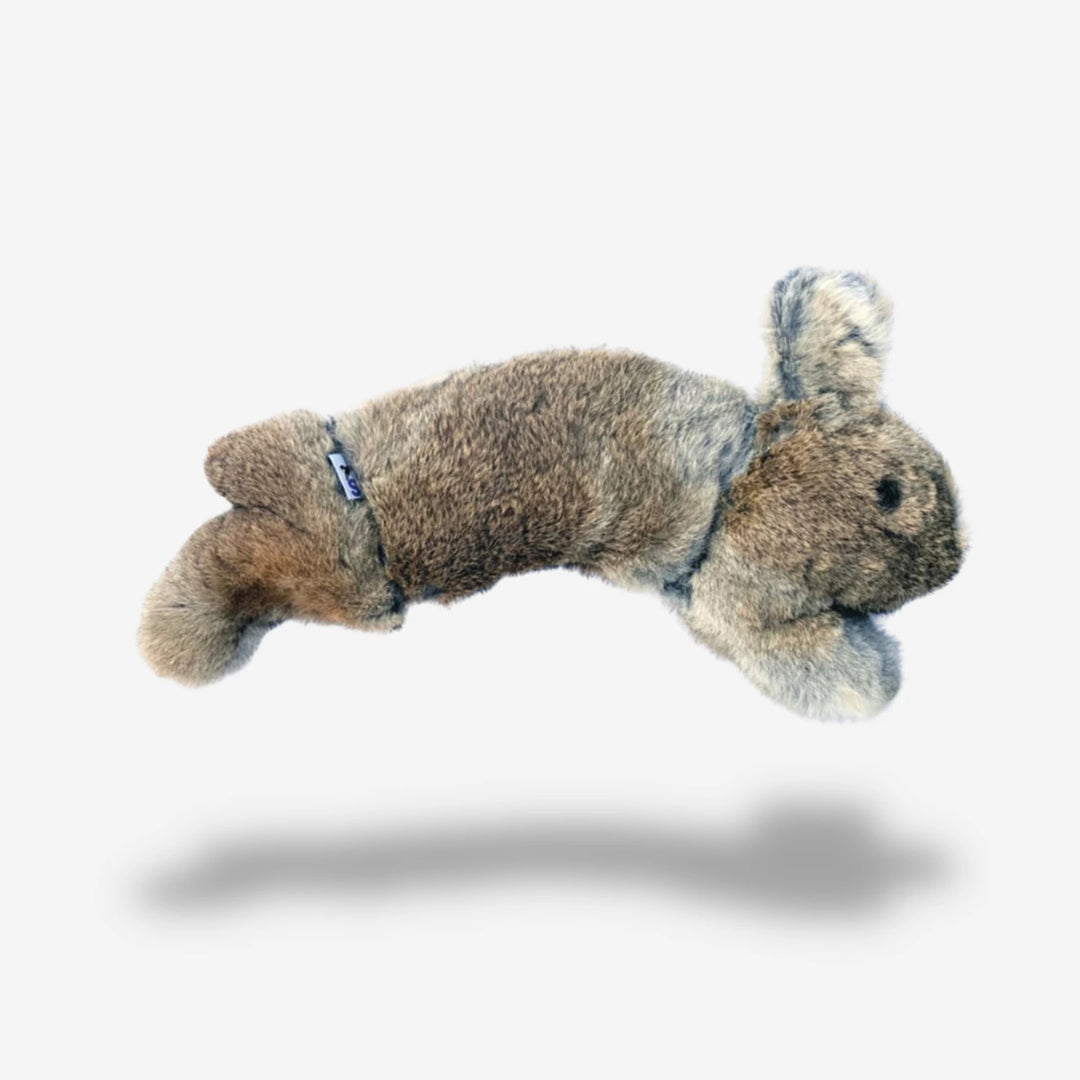 #color_rabbit