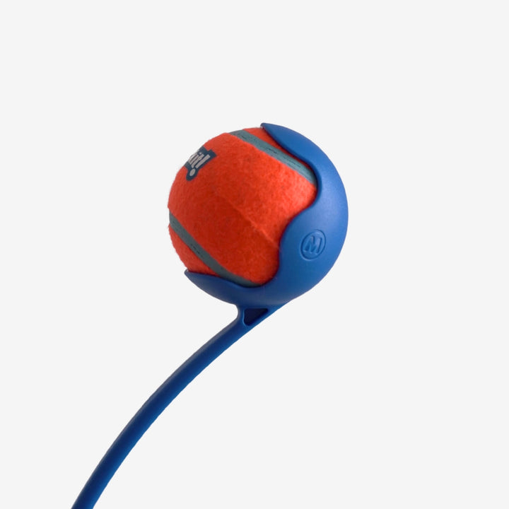 chuckit närbild med medium boll på sidan