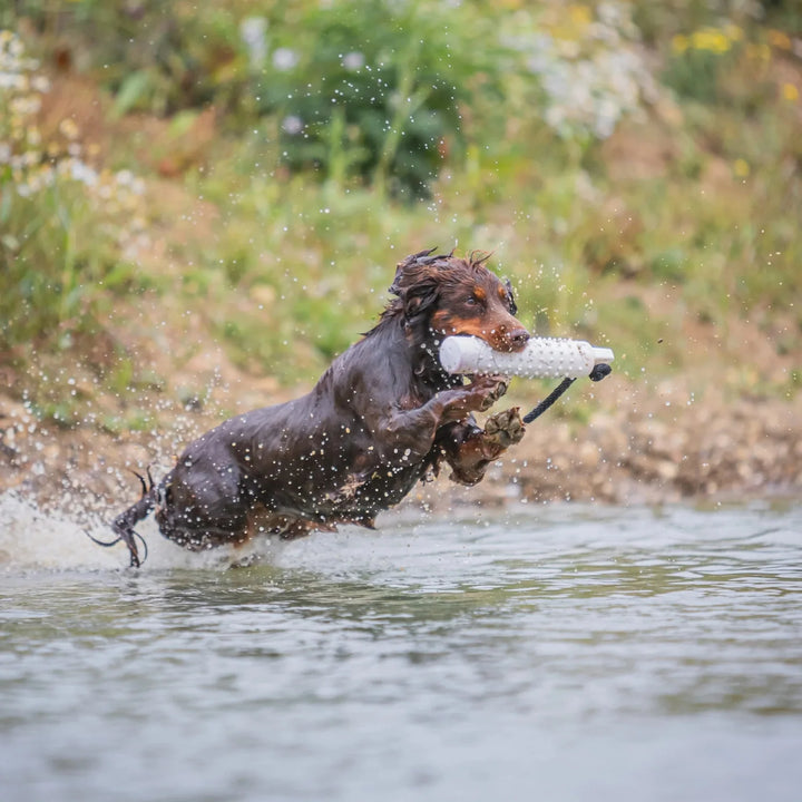 hund hoppar i vattnet med vit sporting saint vattendummy 27,5 cm i munnen #color_white
