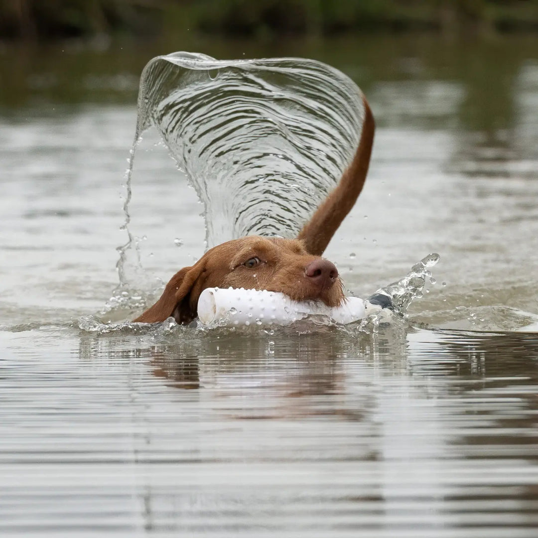 hund simmar i vattnet med vit sporting saint vattendummy 29 cm i munnen #color_white