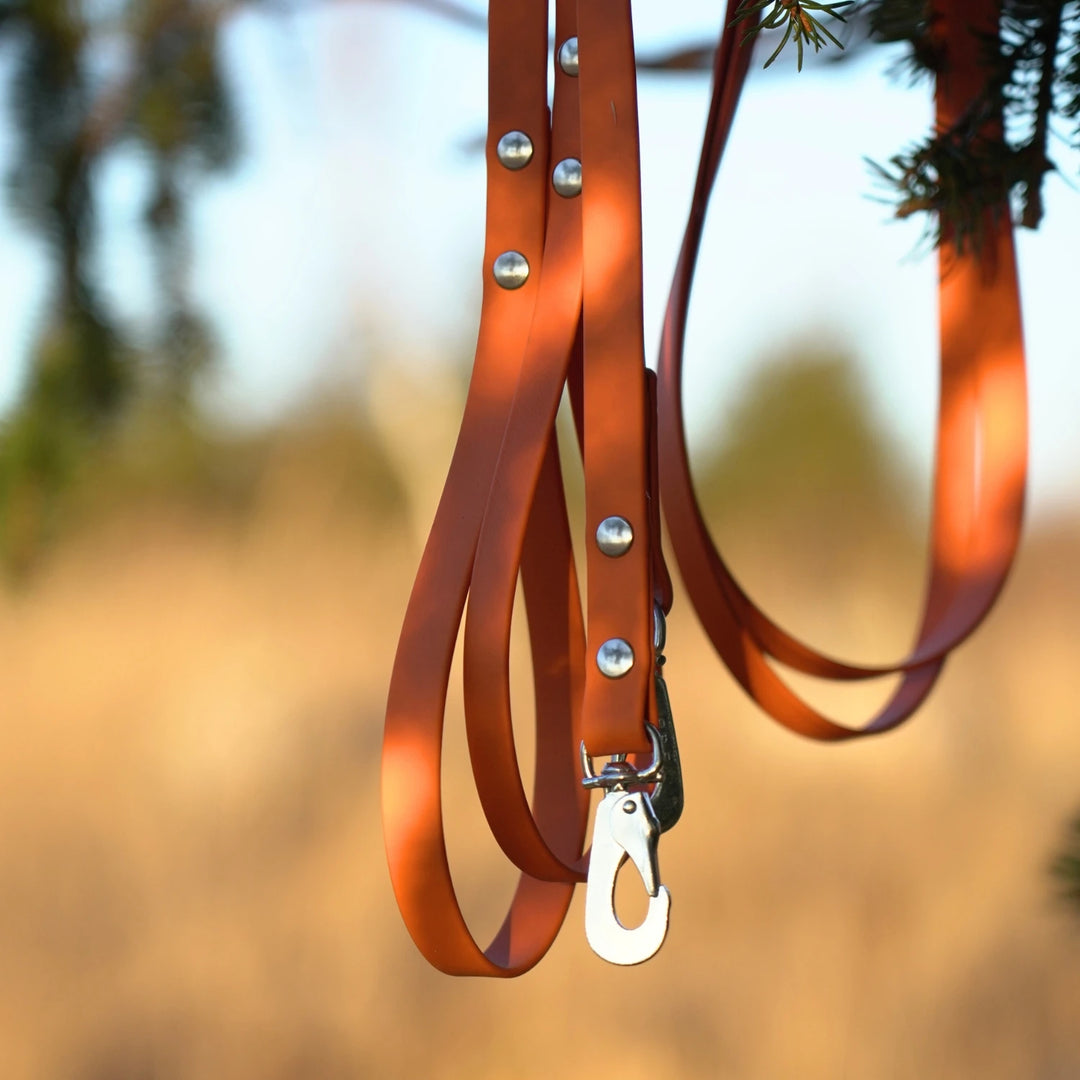 Junies koppel biothane orange #color_orange