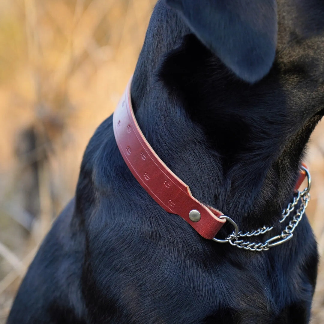 JUNIES Läderhalsband Halvstryp - Nord