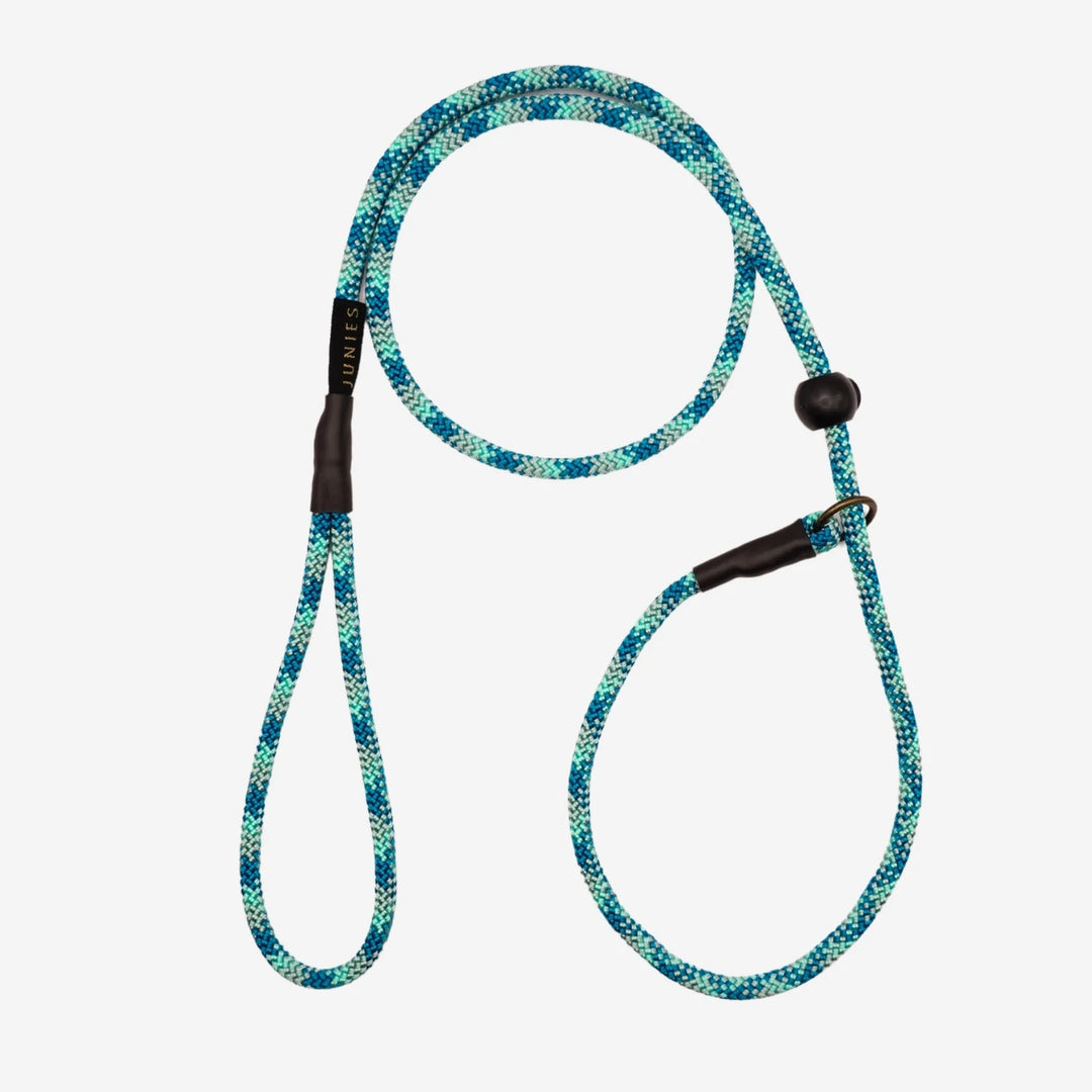 Junies retrieverkoppel 120 x 0,6 cm teal patterned #color_teal-patterned