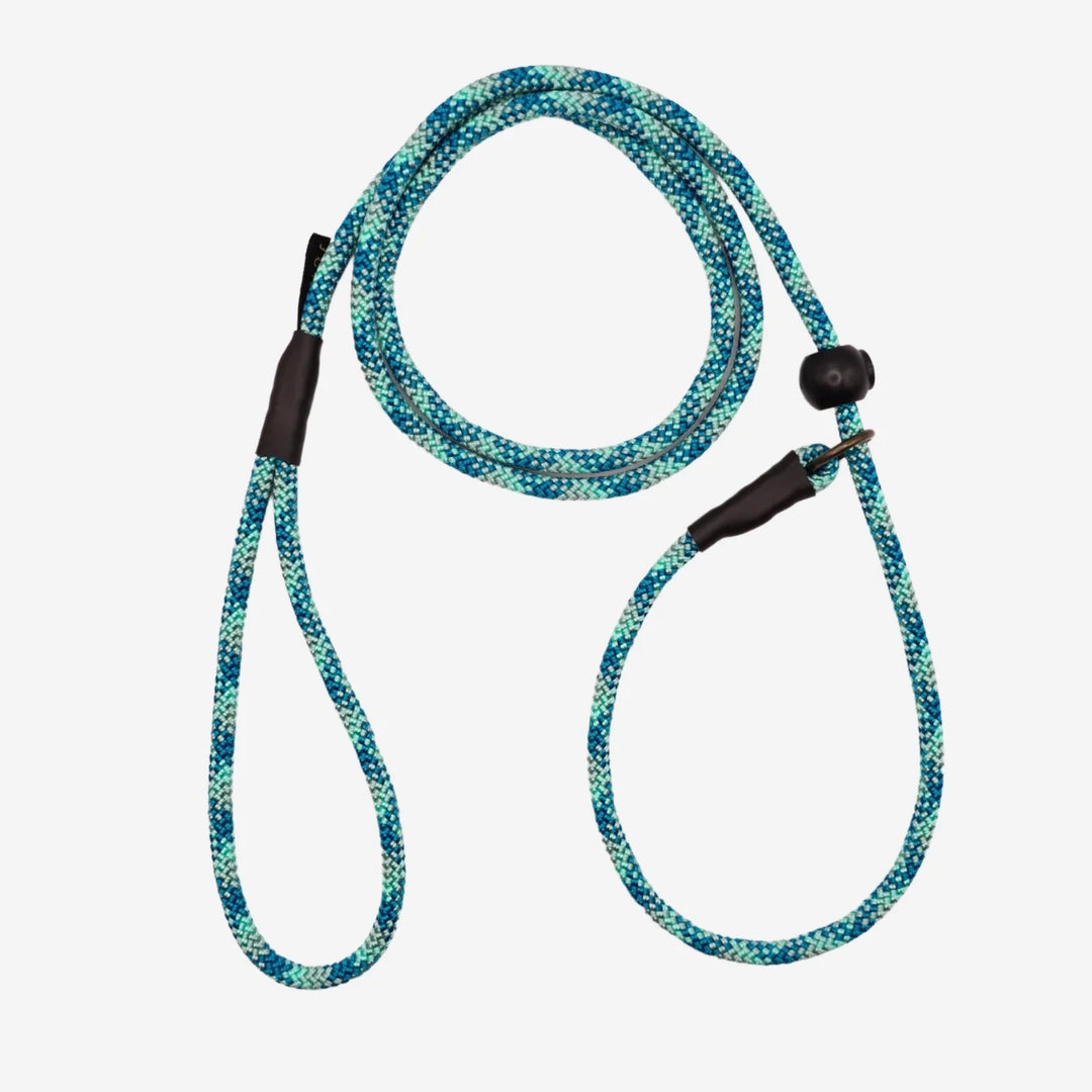 Junies retrieverkoppel 140 x 0,6 cm teal patterned #color_teal-patterned