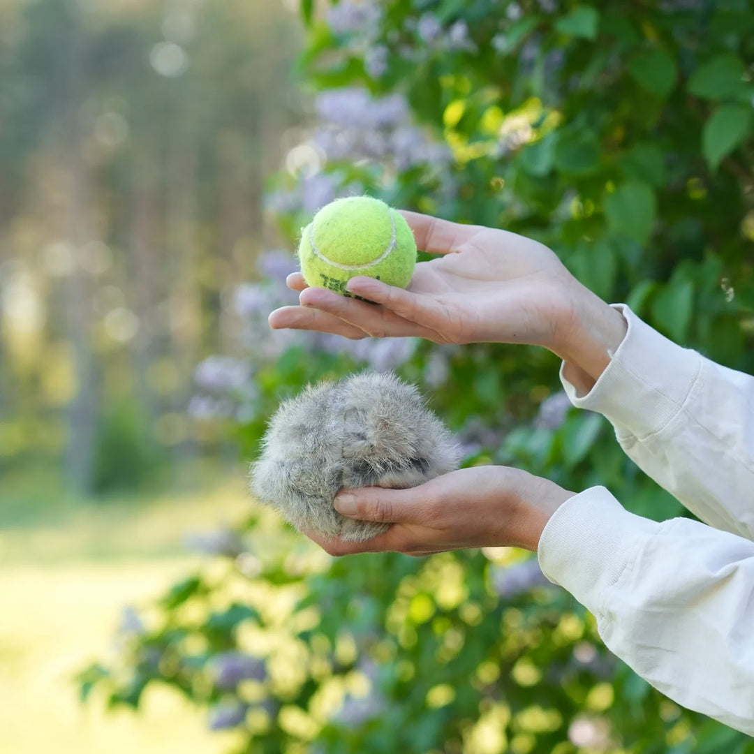 Miljöbild Firedog kaninöverdrag till tennisboll #color_rabbit