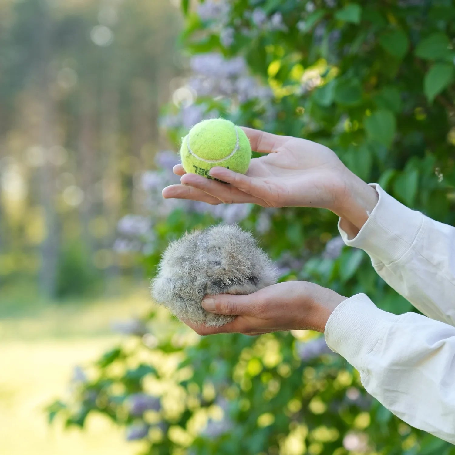 Miljöbild Firedog kaninöverdrag till tennisboll #color_rabbit