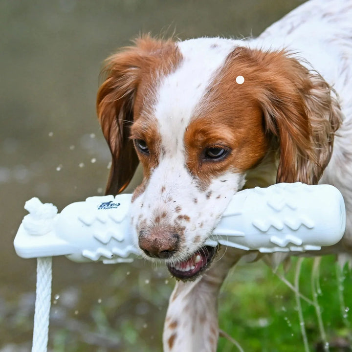 Miljöbild hund med Dt Systems vattendummu soft mouth small #color_white