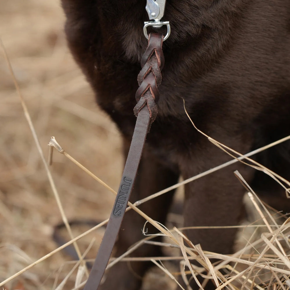 Miljlbild junies läderkoppel 2 m black brun #color_brown