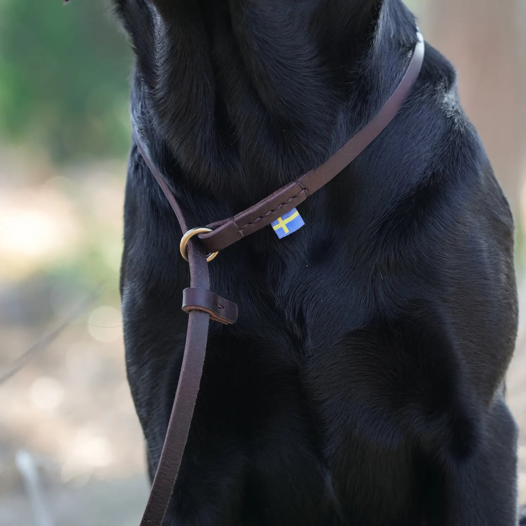 Miljöbild junies retrieverkoppel svenskt läder 140 cm #color_brown