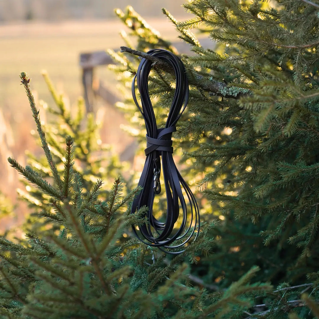 MIljöbild junies spårlina biothane 10 meter black #color_black