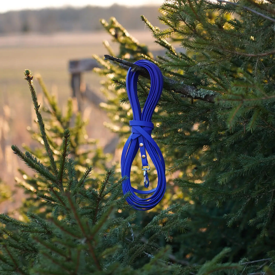 MIljöbild junies spårlina biothane 10 meter blue #color_blue