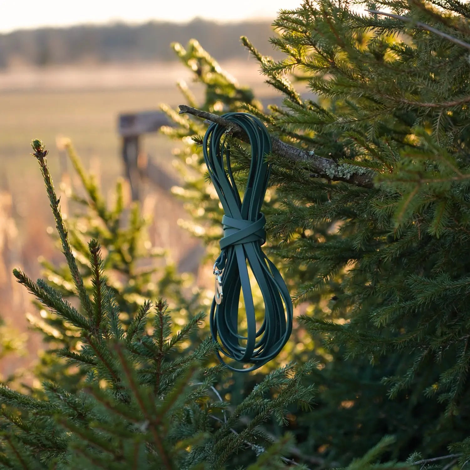 MIljöbild junies spårlina biothane 10 meter dark green #color_dark-green