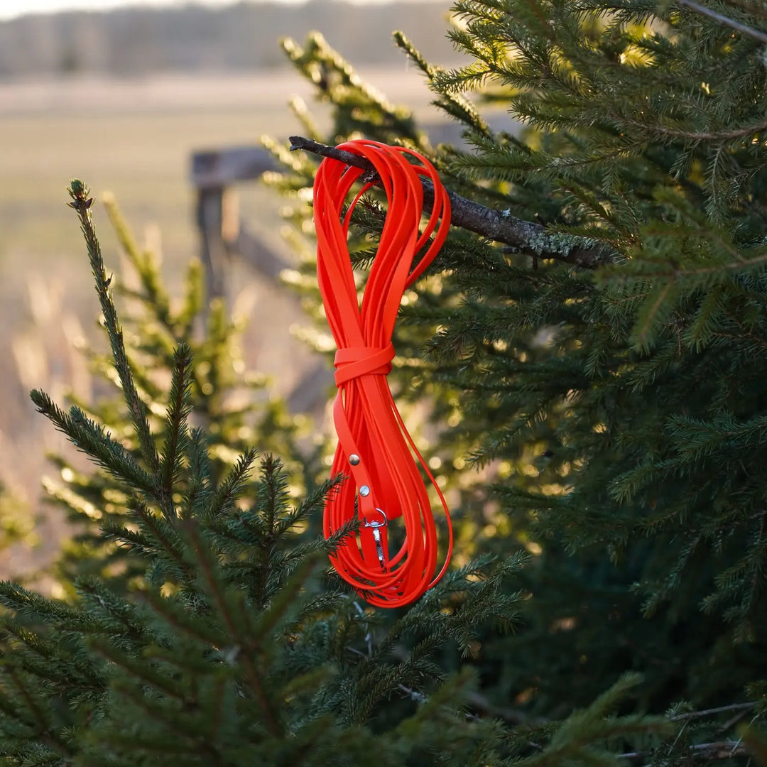 MIljöbild junies spårlina biothane 10 meter neon orange #color_neon-orange