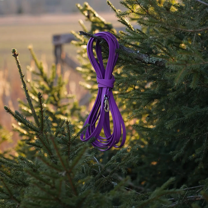 MIljöbild junies spårlina biothane 10 meter purple #color_purple