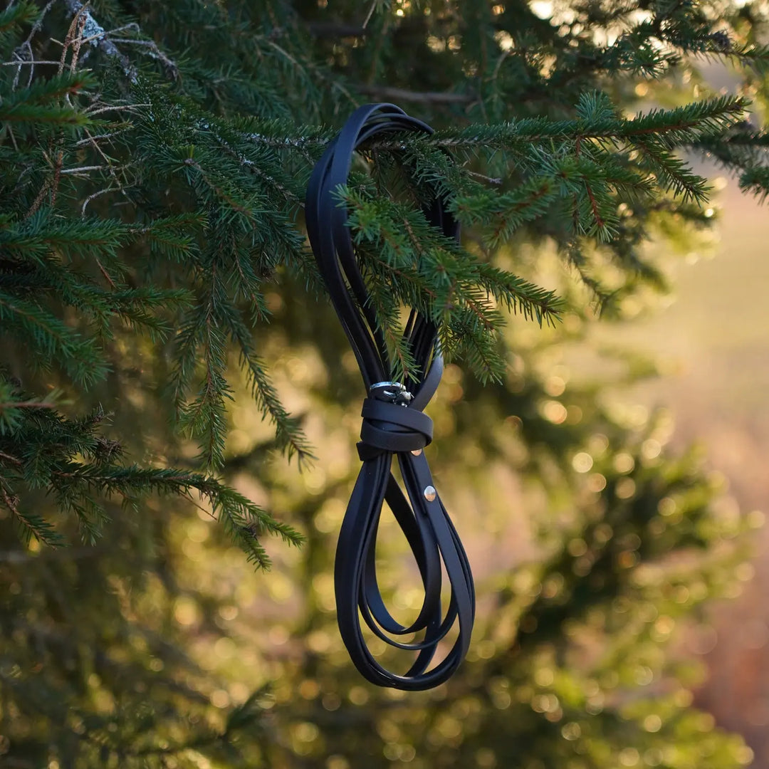 Miljöbild junies spårlina biothane 5 meter svart black #color_black