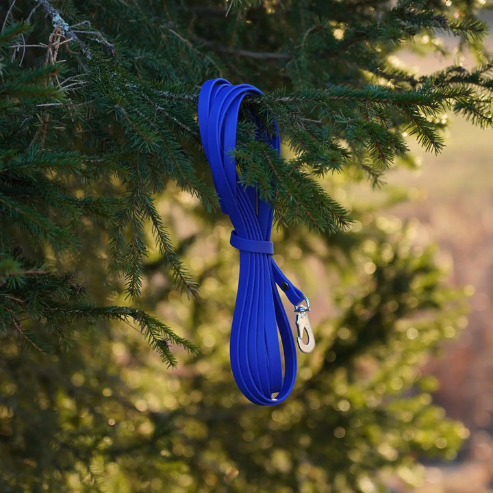 Miljöbild junies spårlina biothane 5 meter blå blue #color_blue