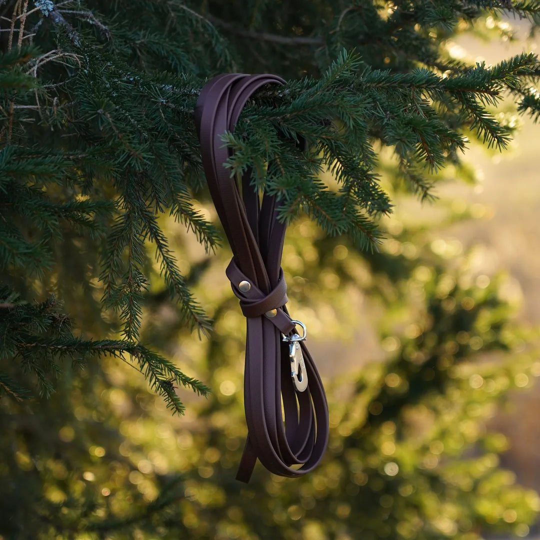 Miljöbild junies spårlina biothane 5 meter brun brown #color_brown