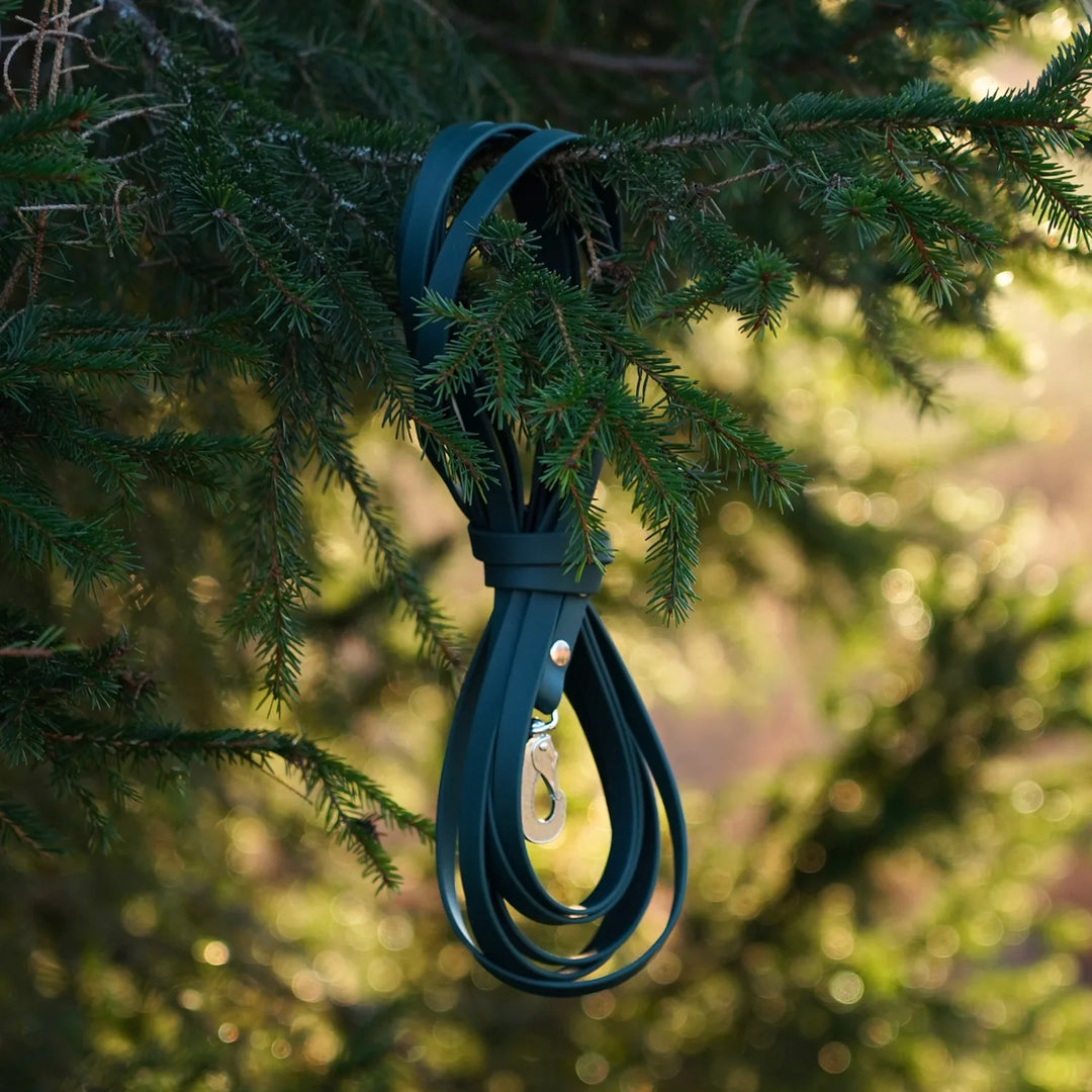 Miljöbild junies spårlina biothane 5 meter mörkgrön dark green #color_dark-green