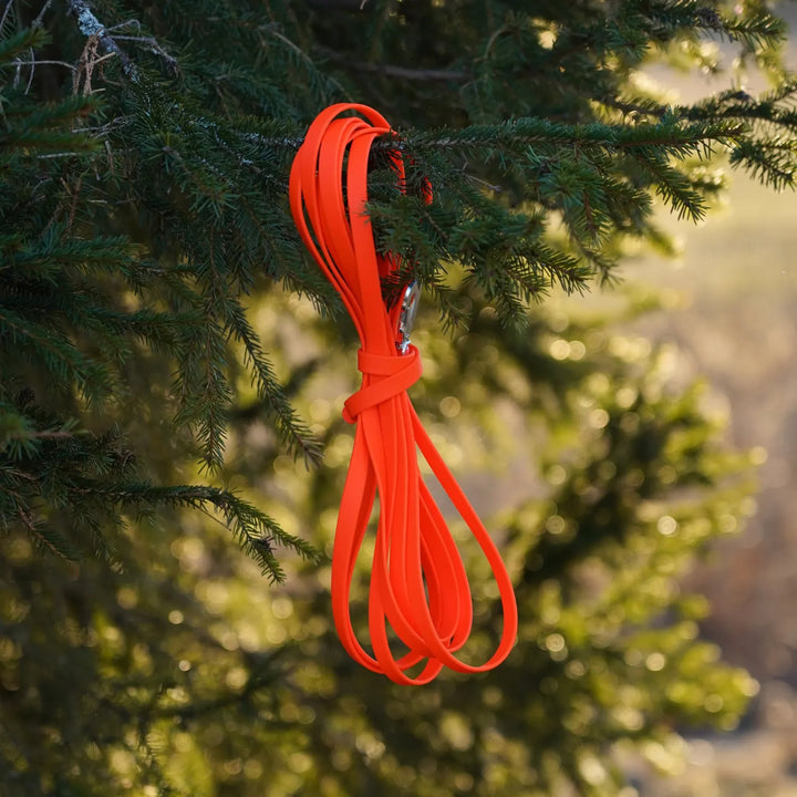 Miljöbild junies spårlina biothane 5 meter neon orange #color_neon-orange