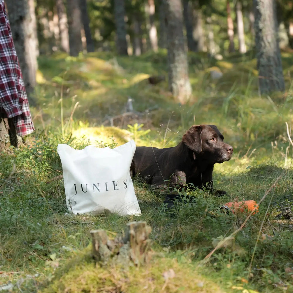 Miljlbild Junies tygpåse