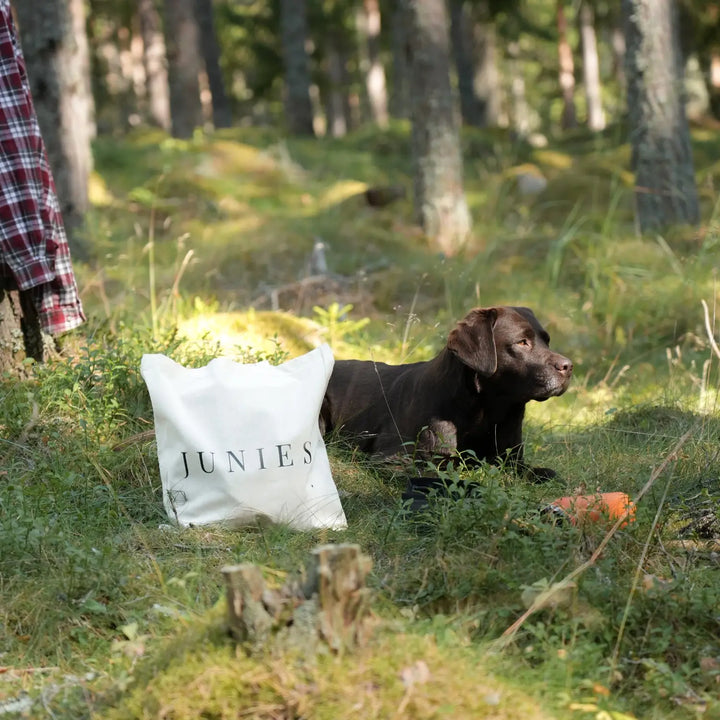 Miljlbild Junies tygpåse