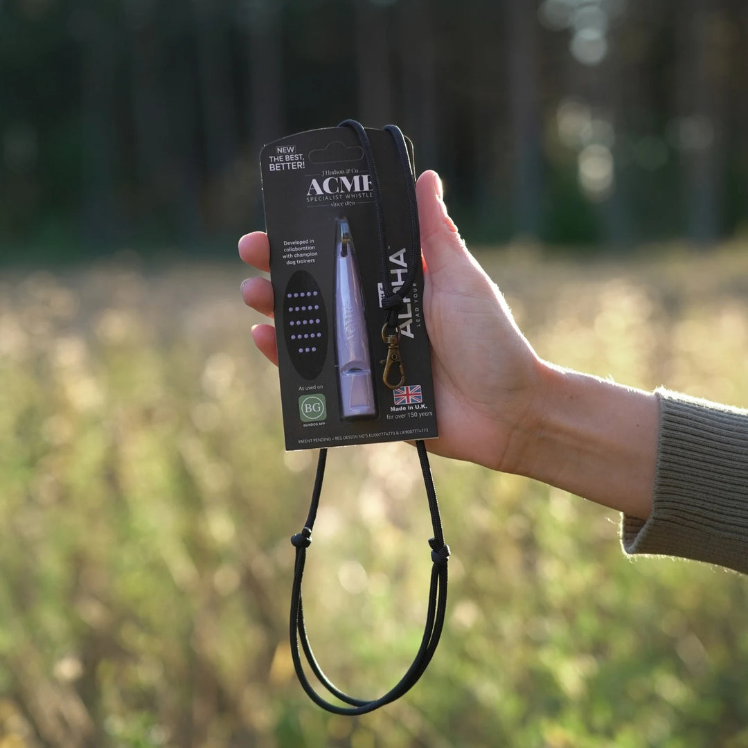 Miljöbild med JUNIES visselpipsband Enkel black med hake 