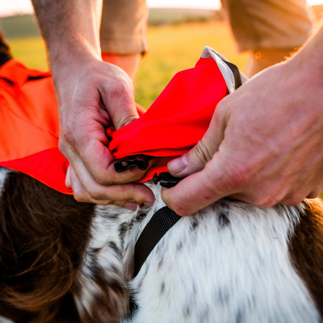 MIljöbild non-stop dogwear Protector cover 2.0 spänne