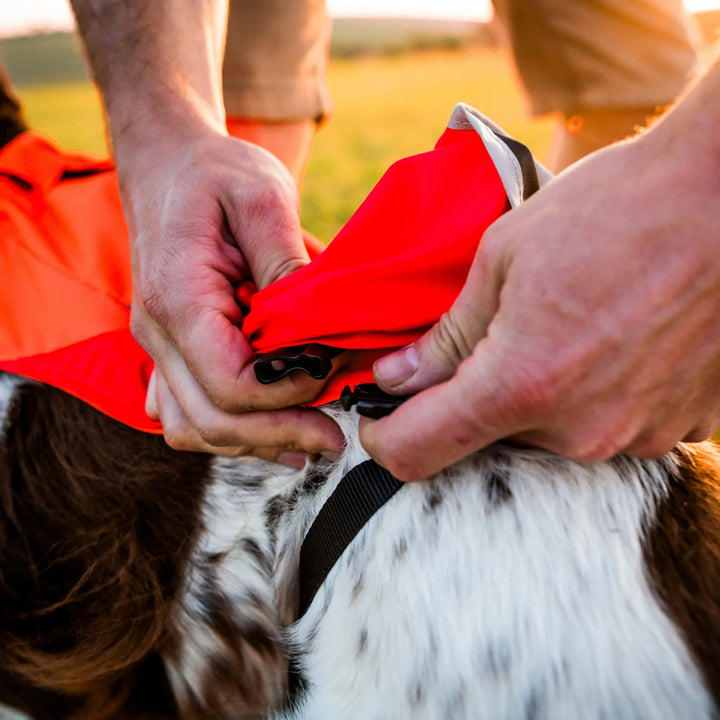 MIljöbild non-stop dogwear Protector cover 2.0 spänne