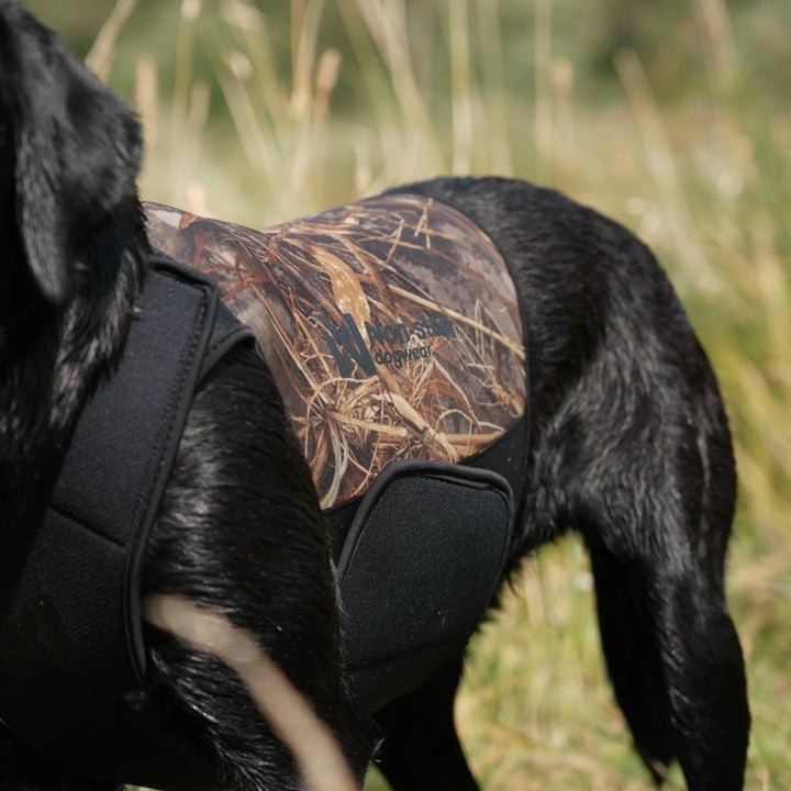 MIljöbild non-stop dogwear Protector neoprene vest light 