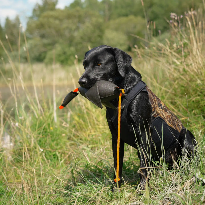 MIljöbild non-stop dogwear Protector neoprene vest light 
