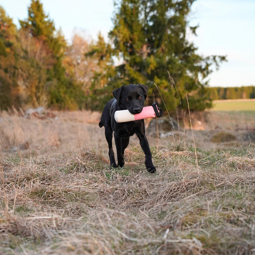 Miljöbild svart labrador med firedog merkarings dummy speedy rosa vit 500 g #color_pink-white